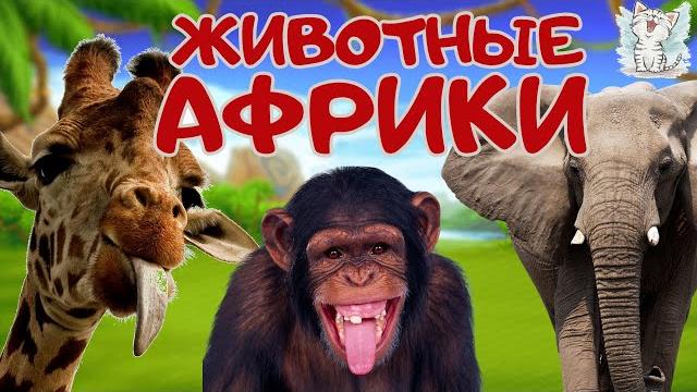 Животные африки. развивающее видео о животных для детей Животные африки. развивающее видео о животных для детей