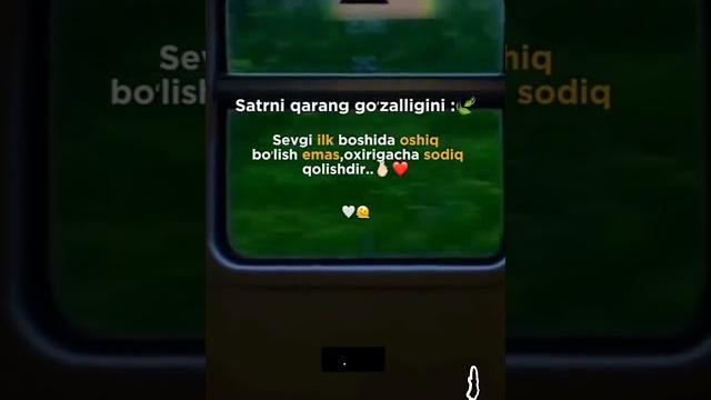@gulsevar @gulsevar