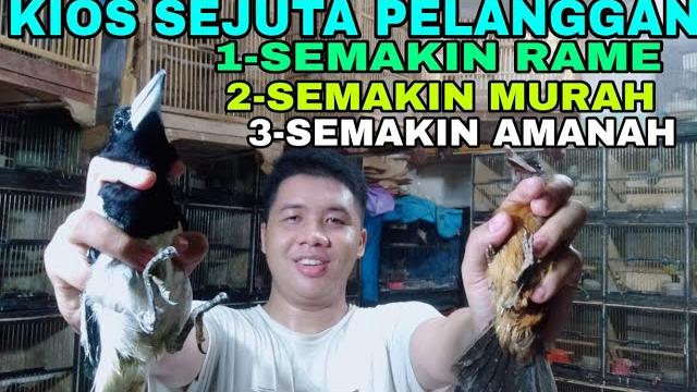 Kios sejuta pelanggan semakin,rame,murah,dan amanah kios sigit di pasar burung pramuka hari ini Kios sejuta pelanggan semakin,rame,murah,dan amanah kios sigit di pasar burung pramuka hari ini