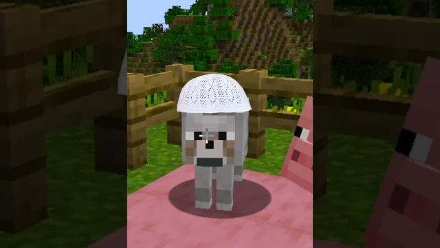 Minecraft'ta müslüman kurt !! #shorts Minecraft'ta müslüman kurt !! #shorts