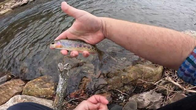 Trash files-fly fishing Trash files-fly fishing