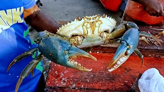 ️ interesting !!alive giant big crabs fastest cleaning and cutting | crab cutting technique ️ interesting !!alive giant big crabs fastest cleaning and cutting | crab cutting technique