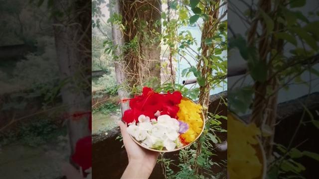 Tambe ke bartan saaf karne ka tarika | pooja🪔ke bartan kaise saaf kare #shorts #ytshorts#nawratri Tambe ke bartan saaf karne ka tarika | pooja🪔ke bartan kaise saaf kare #shorts #ytshorts#nawratri