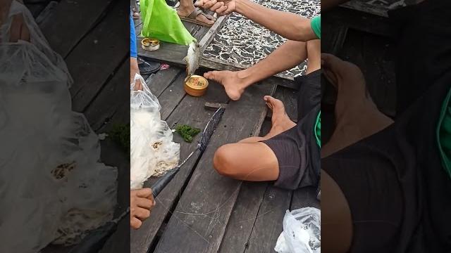 Spot "salome" satu lobang rame-rame #baronangbontang #mancing #baronang #spotmancingbaronang Spot "salome" satu lobang rame-rame #baronangbontang #mancing #baronang #spotmancingbaronang