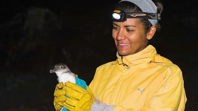 Yuliana bedolla guzmán | sir david attenborough presents 2023 whitley award winner | mexico Yuliana bedolla guzmán | sir david attenborough presents 2023 whitley award winner | mexico
