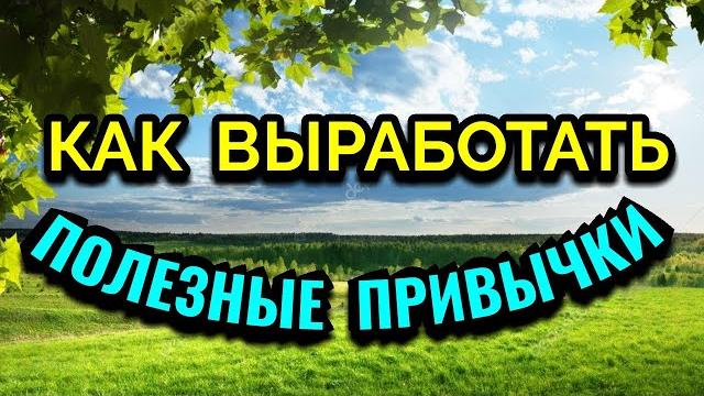 Как выработать новые полезные привычки / про жизнь / как я похудела на 94 кг и укрепила здоровье Как выработать новые полезные привычки / про жизнь / как я похудела на 94 кг и укрепила здоровье