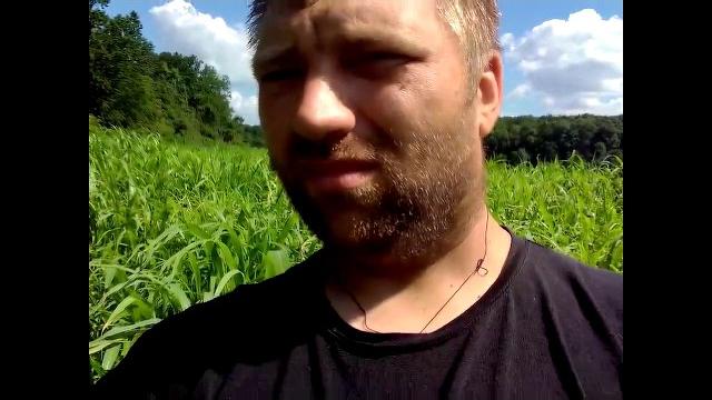 Чудо трава суданка сенокос 2020#5 Чудо трава суданка сенокос 2020#5