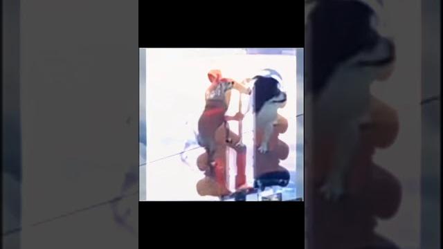 Twerk simulator Twerk simulator