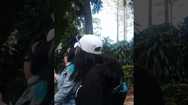 Nyai ratu Nyai ratu