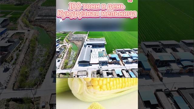 100-тонное оборудование для помола кукурузы – высокоэффективное производство кукурузной муки 100-тонное оборудование для помола кукурузы – высокоэффективное производство кукурузной муки