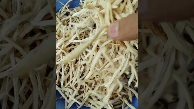 White musli #nature #organic #jadibuti #musli White musli #nature #organic #jadibuti #musli