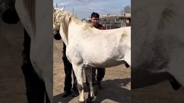 Полный ролик в одном кородком видео. Полный ролик в одном кородком видео.