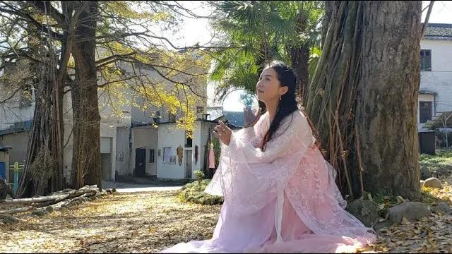 安徽绩溪县黄土坎村银杏,叶未黄已落地,10公里外土菜馆味道好 安徽绩溪县黄土坎村银杏,叶未黄已落地,10公里外土菜馆味道好