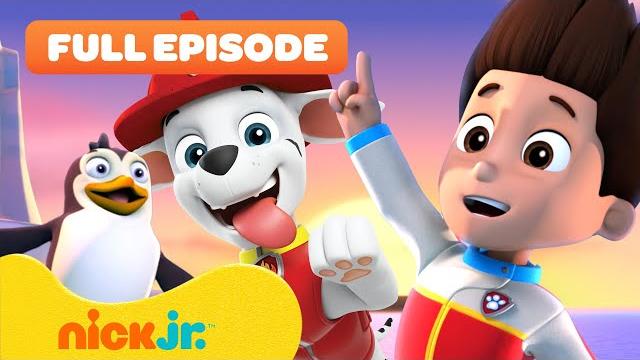 Paw patrol pups save the penguins! full episode | nick jr. Paw patrol pups save the penguins! full episode | nick jr.