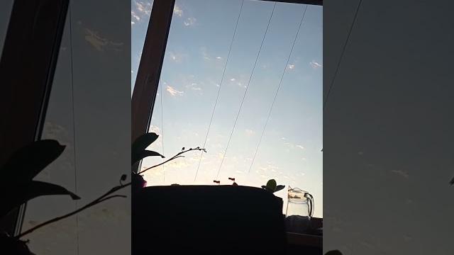 Проснулся в 4 утра Проснулся в 4 утра
