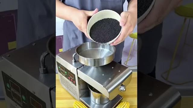 Economic home oil press machine #shorts Economic home oil press machine #shorts