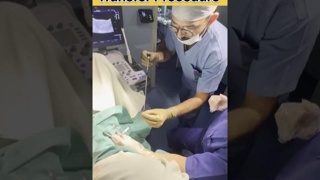 Complete embryo transfer procedure in ivf by dr rakshita malik #doctor #ivf #ivfprocess #mbbs #short Complete embryo transfer procedure in ivf by dr rakshita malik #doctor #ivf #ivfprocess #mbbs #short