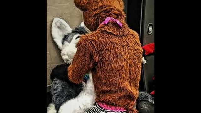 Gay furry sex (as music)) Gay furry sex (as music))