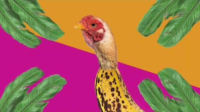 요즘 유행하는 ‘치킨 바나나‘ 1시간 | ‘chicken banana’ - cmc 1hour 요즘 유행하는 ‘치킨 바나나‘ 1시간 | ‘chicken banana’ - cmc 1hour