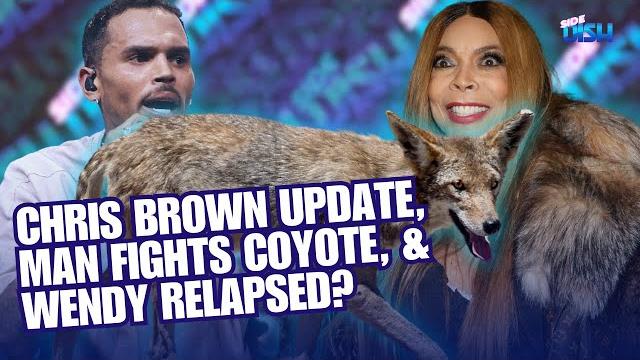 Chris brown case update, wendy williams relapse, & man fights coyote! | side dish side dish Chris brown case update, wendy williams relapse, & man fights coyote! | side dish side dish