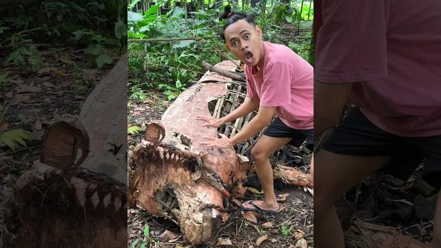 Sapi tidur Sapi tidur