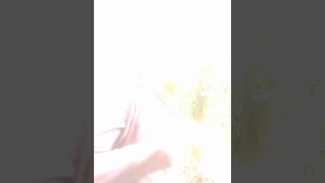 Bigo video. in Bigo video. in