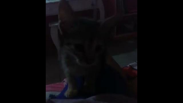 Nina otra vez!!! Nina otra vez!!!