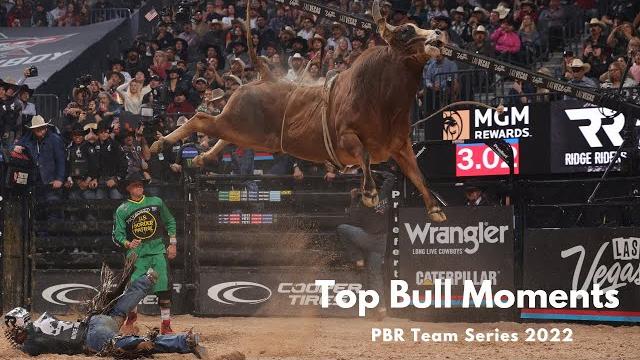 Top bucking bull moments of the 2022 teams season Top bucking bull moments of the 2022 teams season