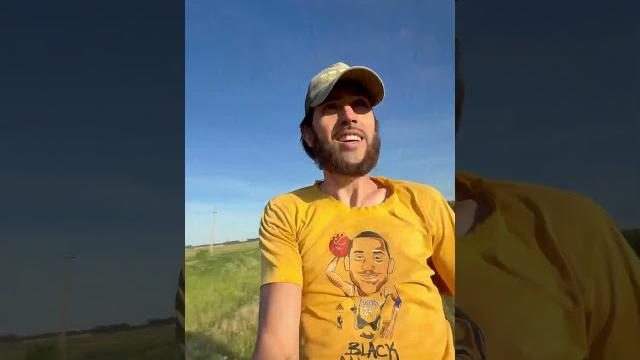 Лошадь теперь в табуне Лошадь теперь в табуне