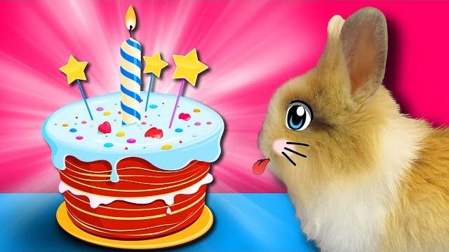 День рождения кролика баффи! кот малыш и кошка мурка дарят крутой подарок! веселые игры для животных День рождения кролика баффи! кот малыш и кошка мурка дарят крутой подарок! веселые игры для животных