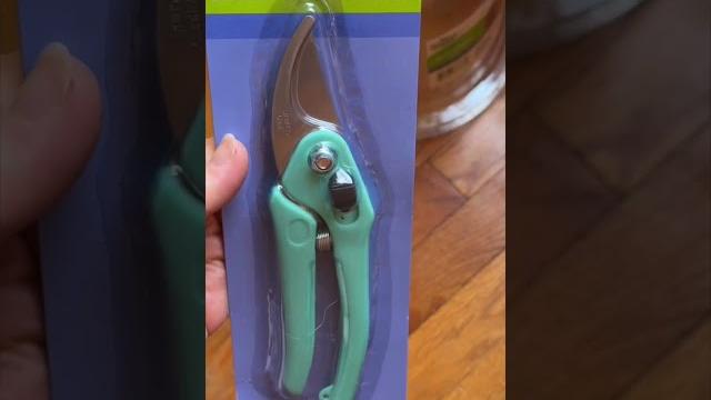 Garden shopping at dollar tree (pt1) | 2023 Garden shopping at dollar tree (pt1) | 2023