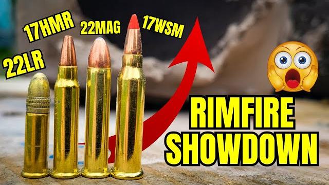 17wsm vs 22 lr vs 17 hmr vs 22 mag: no more debating 17wsm vs 22 lr vs 17 hmr vs 22 mag: no more debating