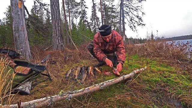 В лес на 10 дней.охота и рыбалка.рыбачим на соседнем озере.ночёвка в старой охотничьей избе(2 серия) В лес на 10 дней.охота и рыбалка.рыбачим на соседнем озере.ночёвка в старой охотничьей избе(2 серия)