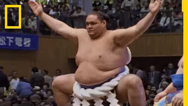 Sumo wrestling 101 | national geographic Sumo wrestling 101 | national geographic