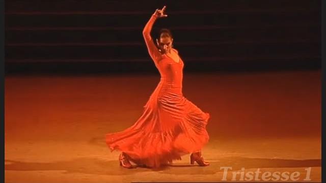 Amazing flamenco Amazing flamenco