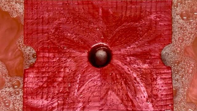️overload️️new sponges + pinalen (2l) + pearly red/bronze murphy. #satisfying #overload #sponge ️overload️️new sponges + pinalen (2l) + pearly red/bronze murphy. #satisfying #overload #sponge