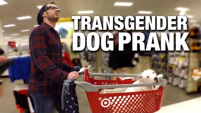 Hidden cam: transgender dog prank! Hidden cam: transgender dog prank!