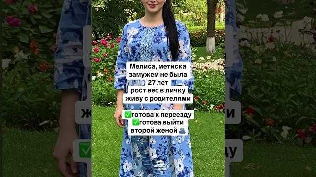 Метиска Метиска