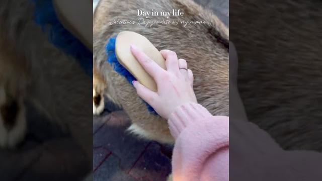 Part 2️ #trendingonshorts #valentinesday #asmr #dayinthelife #zoo #zoovlog #highschool #fyp Part 2️ #trendingonshorts #valentinesday #asmr #dayinthelife #zoo #zoovlog #highschool #fyp