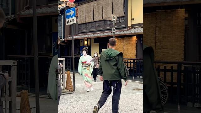 芸妓さんって本当に美しい #舞妓 #geisha 芸妓さんって本当に美しい #舞妓 #geisha