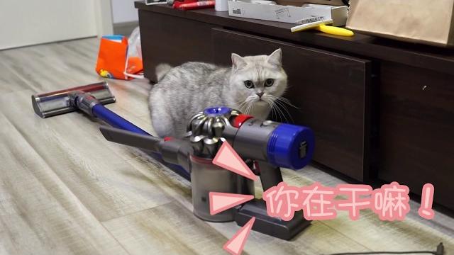 当lotus发现一根小鱼肠之后.... 当lotus发现一根小鱼肠之后....