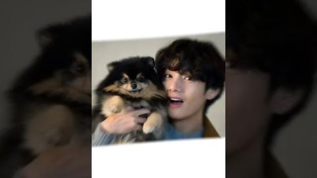 Bts-v (taeyoung) Bts-v (taeyoung)