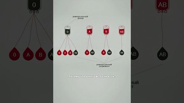 Кому какую кровь можно перелить? Кому какую кровь можно перелить?