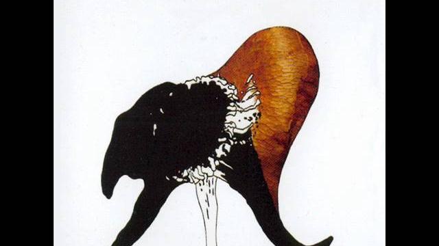 Coil || sex with sun ra (part two - sigillaricia) Coil || sex with sun ra (part two - sigillaricia)