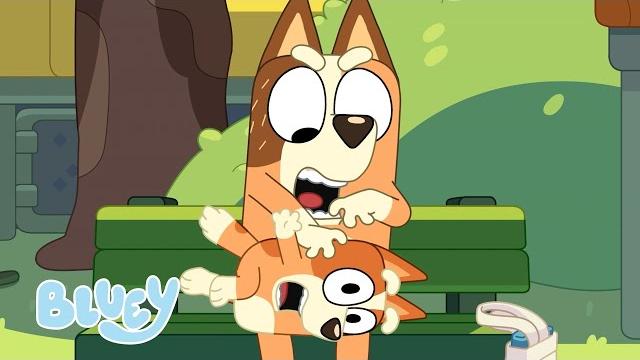 On dört bluey kısaları | bluey türkçe resmi kanal On dört bluey kısaları | bluey türkçe resmi kanal