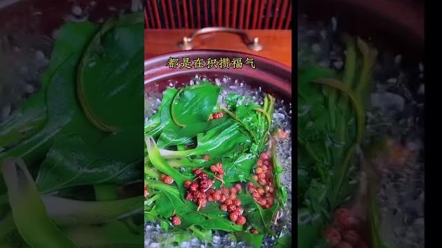 蒲公英+车前草+花椒+白醋,大自然的恩赐老一辈人的土方法 #健康养生 蒲公英+车前草+花椒+白醋,大自然的恩赐老一辈人的土方法 #健康养生