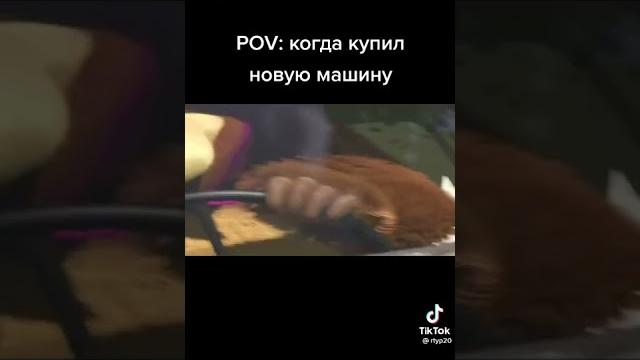 #маша и медведь #едем в соседнее село #маша и медведь #едем в соседнее село