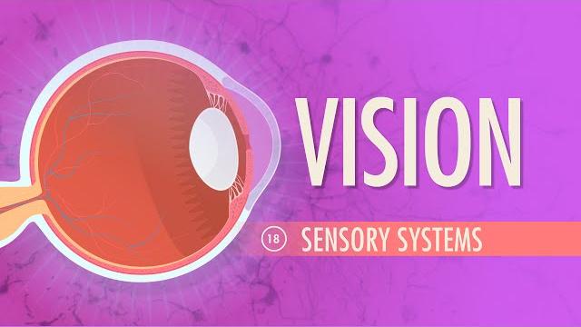 Vision: crash course anatomy & physiology #18 Vision: crash course anatomy & physiology #18