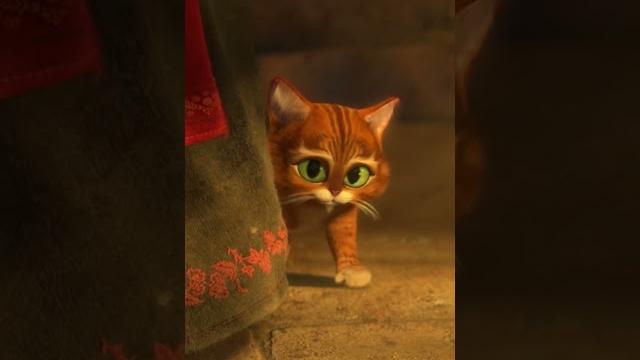 That face... so cute | puss in boots That face... so cute | puss in boots