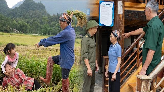 Cruel old mother forces daughter to harvest rice on a hot day - father-in-law strongly objects Cruel old mother forces daughter to harvest rice on a hot day - father-in-law strongly objects